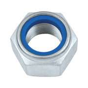 Schachtel mit 50 Nüssen