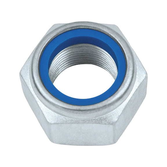 Schachtel mit 50 Nüssen